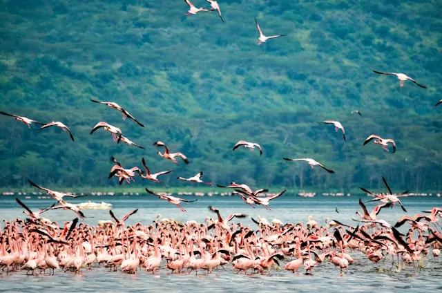Amboseli National Park