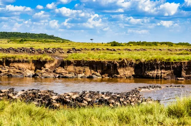 Tsavo East
